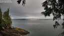 ./images/koeye/fitz-hugh/20250809/fitz-hugh20250809_091512M.jpg
