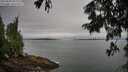 ./images/koeye/fitz-hugh/20250809/fitz-hugh20250809_092012M.jpg