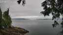 ./images/koeye/fitz-hugh/20250809/fitz-hugh20250809_092509M.jpg