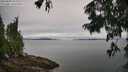 ./images/koeye/fitz-hugh/20250809/fitz-hugh20250809_093511M.jpg