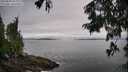 ./images/koeye/fitz-hugh/20250809/fitz-hugh20250809_094011M.jpg
