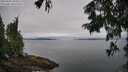 ./images/koeye/fitz-hugh/20250809/fitz-hugh20250809_094510M.jpg