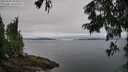 ./images/koeye/fitz-hugh/20250809/fitz-hugh20250809_095011M.jpg
