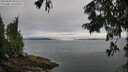./images/koeye/fitz-hugh/20250809/fitz-hugh20250809_095511M.jpg