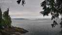 ./images/koeye/fitz-hugh/20250809/fitz-hugh20250809_100510M.jpg