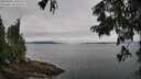 ./images/koeye/fitz-hugh/20250809/fitz-hugh20250809_101008M.jpg
