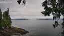 ./images/koeye/fitz-hugh/20250809/fitz-hugh20250809_101511M.jpg