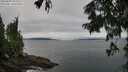 ./images/koeye/fitz-hugh/20250809/fitz-hugh20250809_102011M.jpg