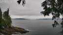 ./images/koeye/fitz-hugh/20250809/fitz-hugh20250809_102510M.jpg