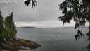 ./images/koeye/fitz-hugh/20250809/fitz-hugh20250809_103012M.jpg