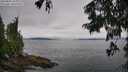 ./images/koeye/fitz-hugh/20250809/fitz-hugh20250809_104011M.jpg
