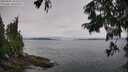 ./images/koeye/fitz-hugh/20250809/fitz-hugh20250809_104511M.jpg