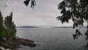 ./images/koeye/fitz-hugh/20250809/fitz-hugh20250809_105510M.jpg