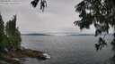 ./images/koeye/fitz-hugh/20250809/fitz-hugh20250809_110510M.jpg