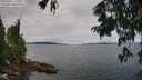 ./images/koeye/fitz-hugh/20250809/fitz-hugh20250809_112010M.jpg