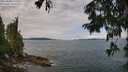 ./images/koeye/fitz-hugh/20250809/fitz-hugh20250809_112510M.jpg