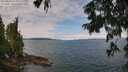 ./images/koeye/fitz-hugh/20250809/fitz-hugh20250809_113012M.jpg