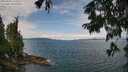 ./images/koeye/fitz-hugh/20250809/fitz-hugh20250809_113509M.jpg