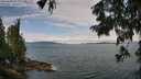 ./images/koeye/fitz-hugh/20250809/fitz-hugh20250809_114012M.jpg