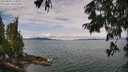 ./images/koeye/fitz-hugh/20250809/fitz-hugh20250809_114510M.jpg