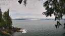./images/koeye/fitz-hugh/20250809/fitz-hugh20250809_115011M.jpg
