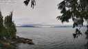 ./images/koeye/fitz-hugh/20250809/fitz-hugh20250809_115510M.jpg