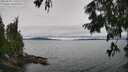 ./images/koeye/fitz-hugh/20250809/fitz-hugh20250809_120509M.jpg