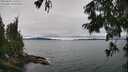./images/koeye/fitz-hugh/20250809/fitz-hugh20250809_121009M.jpg