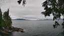 ./images/koeye/fitz-hugh/20250809/fitz-hugh20250809_121512M.jpg