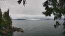 ./images/koeye/fitz-hugh/20250809/fitz-hugh20250809_122510M.jpg