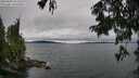 ./images/koeye/fitz-hugh/20250809/fitz-hugh20250809_123510M.jpg