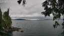 ./images/koeye/fitz-hugh/20250809/fitz-hugh20250809_124009M.jpg