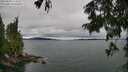 ./images/koeye/fitz-hugh/20250809/fitz-hugh20250809_124510M.jpg