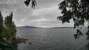 ./images/koeye/fitz-hugh/20250809/fitz-hugh20250809_130511M.jpg