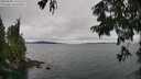 ./images/koeye/fitz-hugh/20250809/fitz-hugh20250809_131510M.jpg