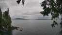 ./images/koeye/fitz-hugh/20250809/fitz-hugh20250809_132510M.jpg