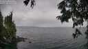 ./images/koeye/fitz-hugh/20250809/fitz-hugh20250809_133510M.jpg