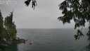 ./images/koeye/fitz-hugh/20250809/fitz-hugh20250809_134511M.jpg
