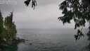 ./images/koeye/fitz-hugh/20250809/fitz-hugh20250809_135510M.jpg