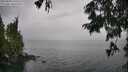 ./images/koeye/fitz-hugh/20250809/fitz-hugh20250809_140012M.jpg