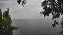 ./images/koeye/fitz-hugh/20250809/fitz-hugh20250809_140511M.jpg