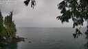 ./images/koeye/fitz-hugh/20250809/fitz-hugh20250809_142011M.jpg