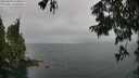 ./images/koeye/fitz-hugh/20250809/fitz-hugh20250809_144511M.jpg