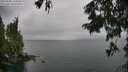 ./images/koeye/fitz-hugh/20250809/fitz-hugh20250809_145008M.jpg