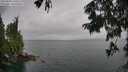 ./images/koeye/fitz-hugh/20250809/fitz-hugh20250809_145510M.jpg