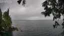 ./images/koeye/fitz-hugh/20250809/fitz-hugh20250809_150011M.jpg