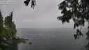./images/koeye/fitz-hugh/20250809/fitz-hugh20250809_152510M.jpg