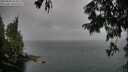 ./images/koeye/fitz-hugh/20250809/fitz-hugh20250809_153012M.jpg