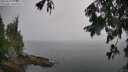./images/koeye/fitz-hugh/20250809/fitz-hugh20250809_175510M.jpg