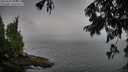 ./images/koeye/fitz-hugh/20250809/fitz-hugh20250809_183012M.jpg